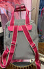 Airport Style Backpack