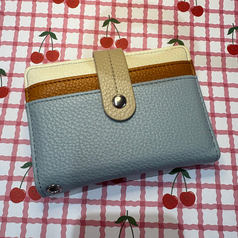 Small Purse / Blue